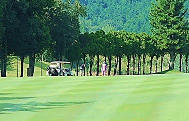 Thumbnail of post image 109