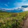 Thumbnail of new posts 183